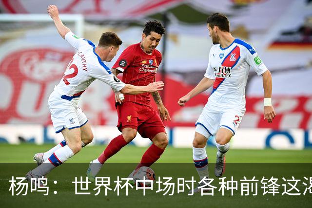 杨鸣：世界杯中场时各种前锋这渴了那饿了全来了 谁能记住后卫呢